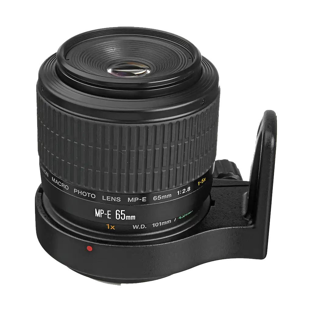 Canon MP-E 65mm f/2.8 (1-5x) Macro Lens - Image 2