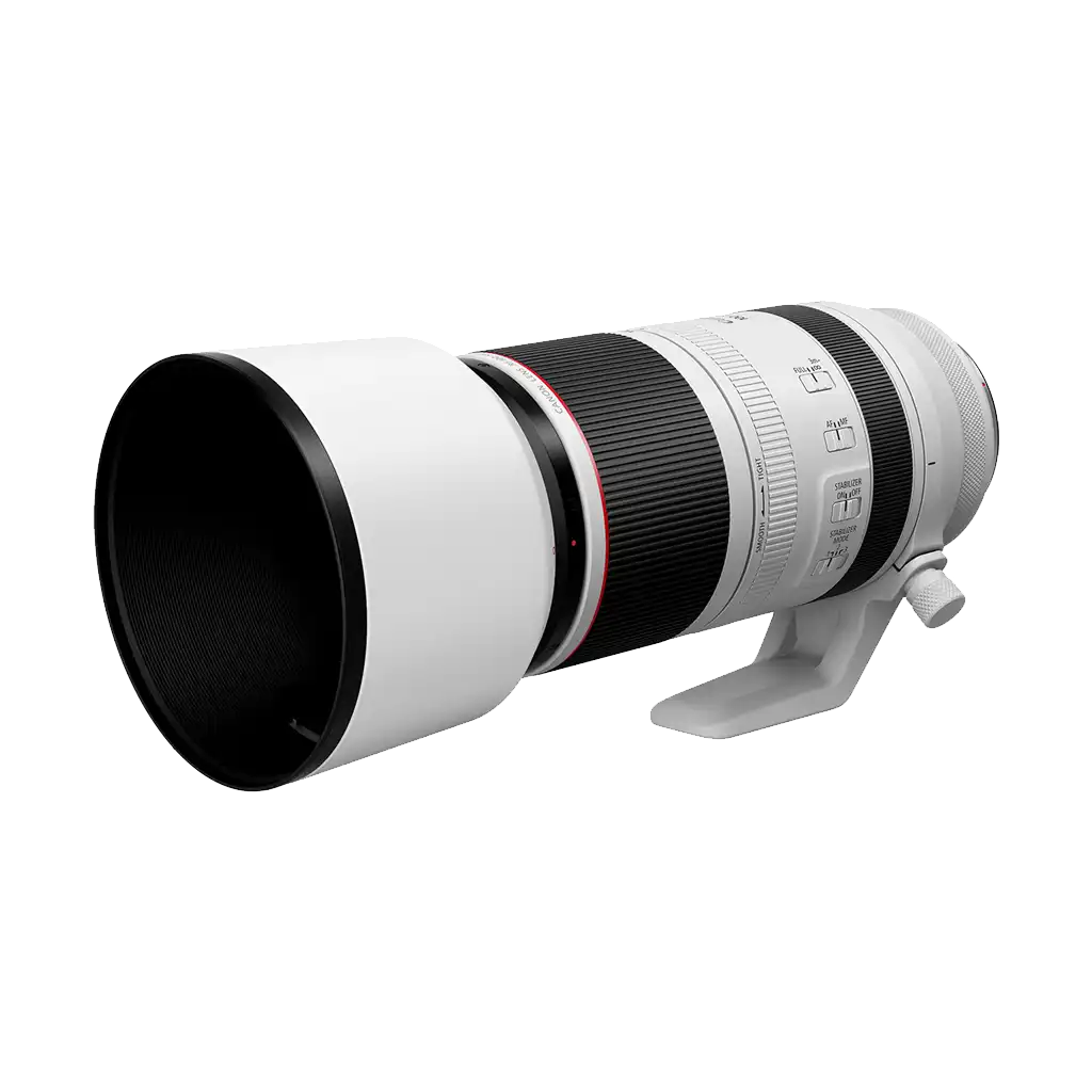 Canon RF 100-500mm f/4.5-7.1L IS USM Lens - Image 2