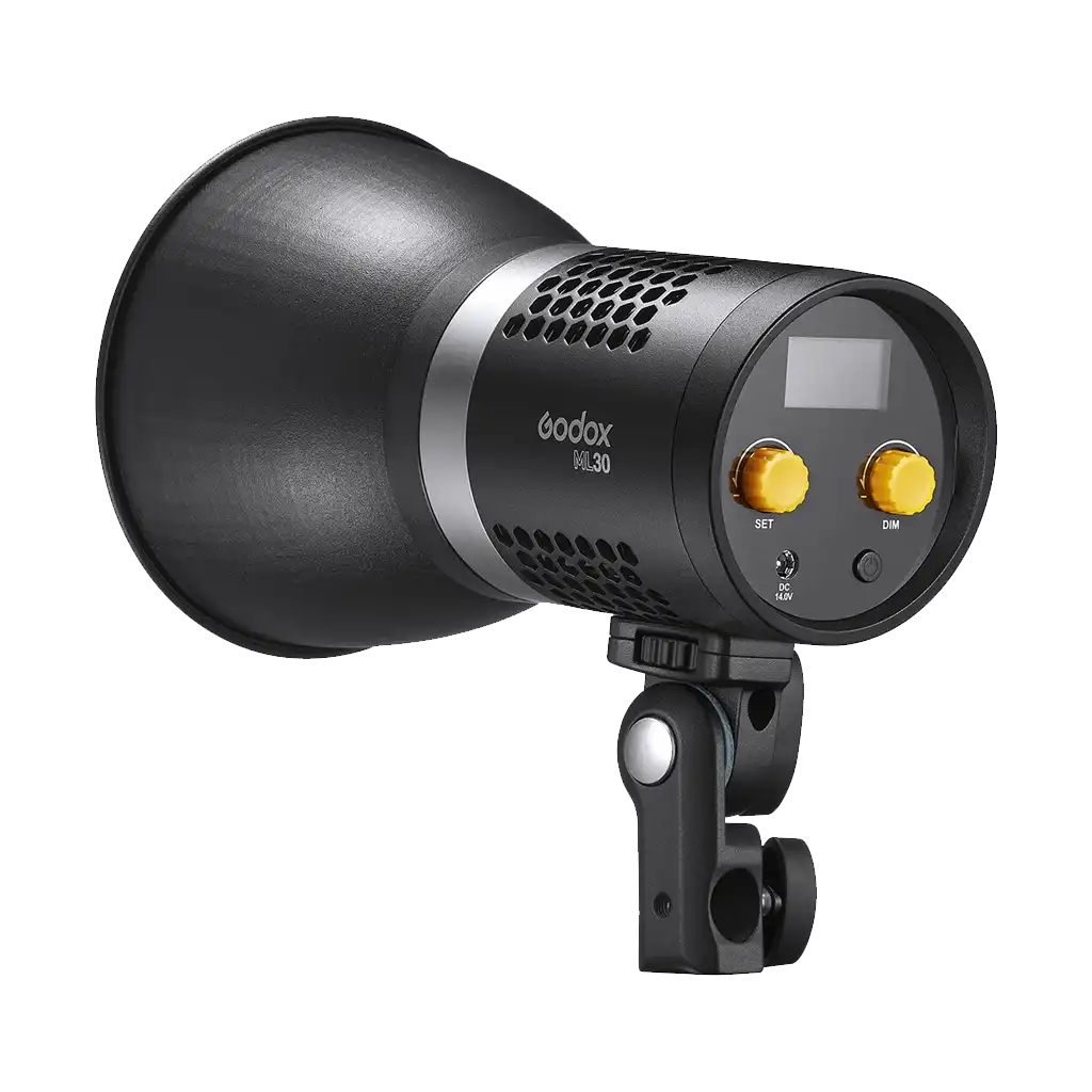 Godox ML30 150 LED Dainty Light - Image 2