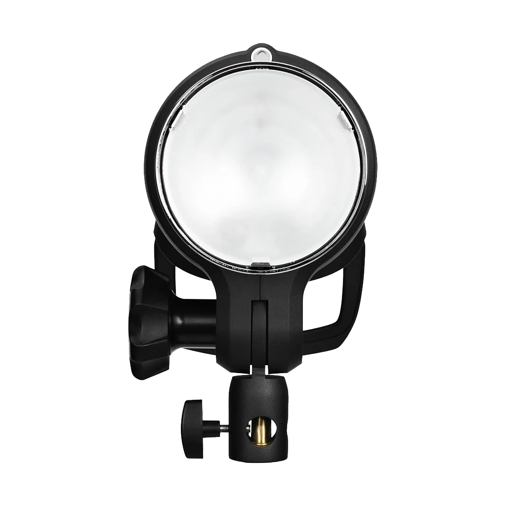 Profoto D2 Duo 500/500 AirTTL 2-Monolight Studio Flash Kit - Image 2